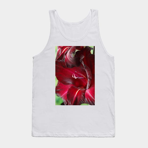 Gladiolus  'Black Surprise' Tank Top by chrisburrows